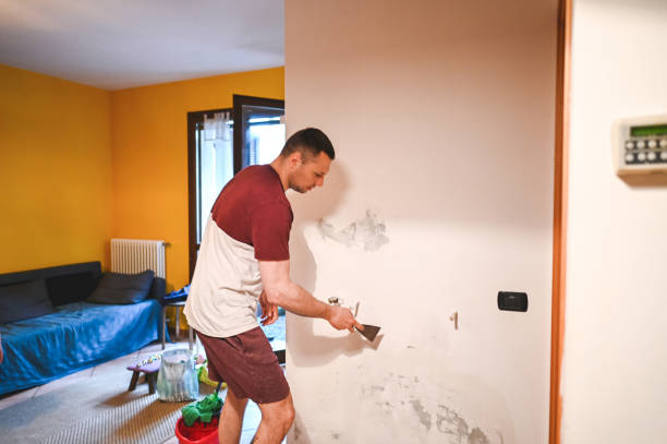 Best Fast Mold Removal  in De Soto, IA